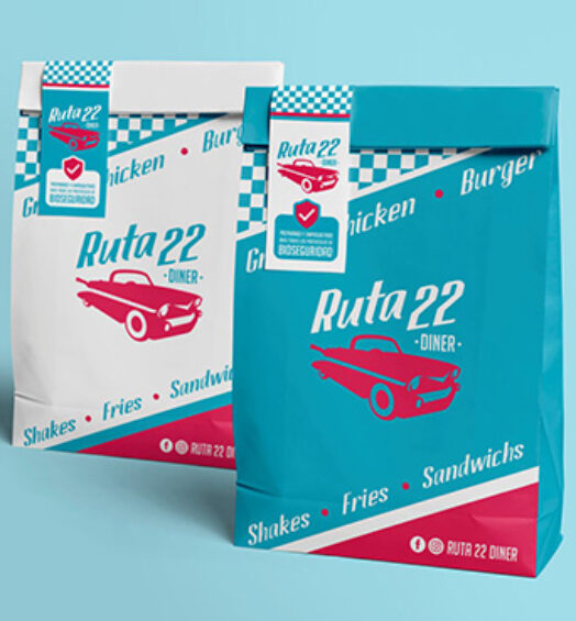 Ruta 22
