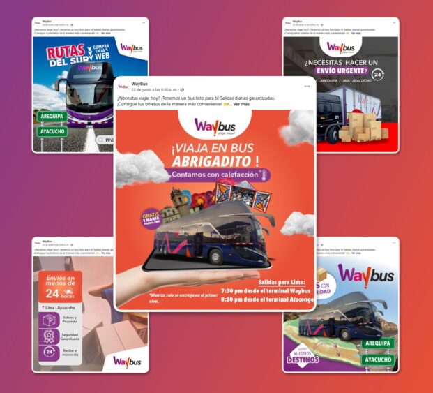 Waybuss
